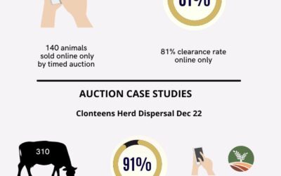 Sales results for 2022