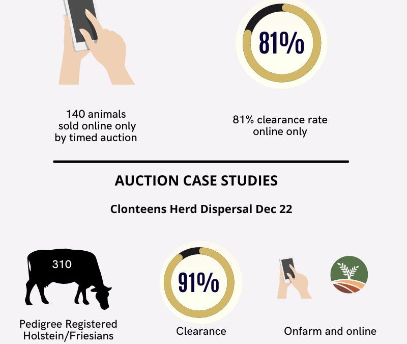 Sales results for 2022