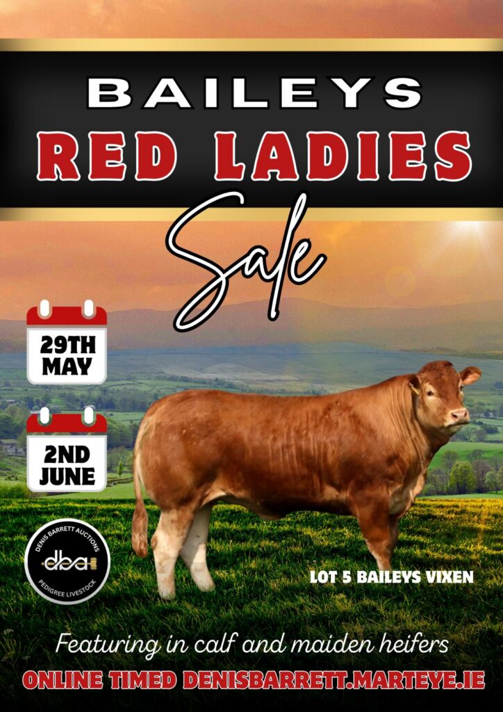 Bailys Red Ladies Sale