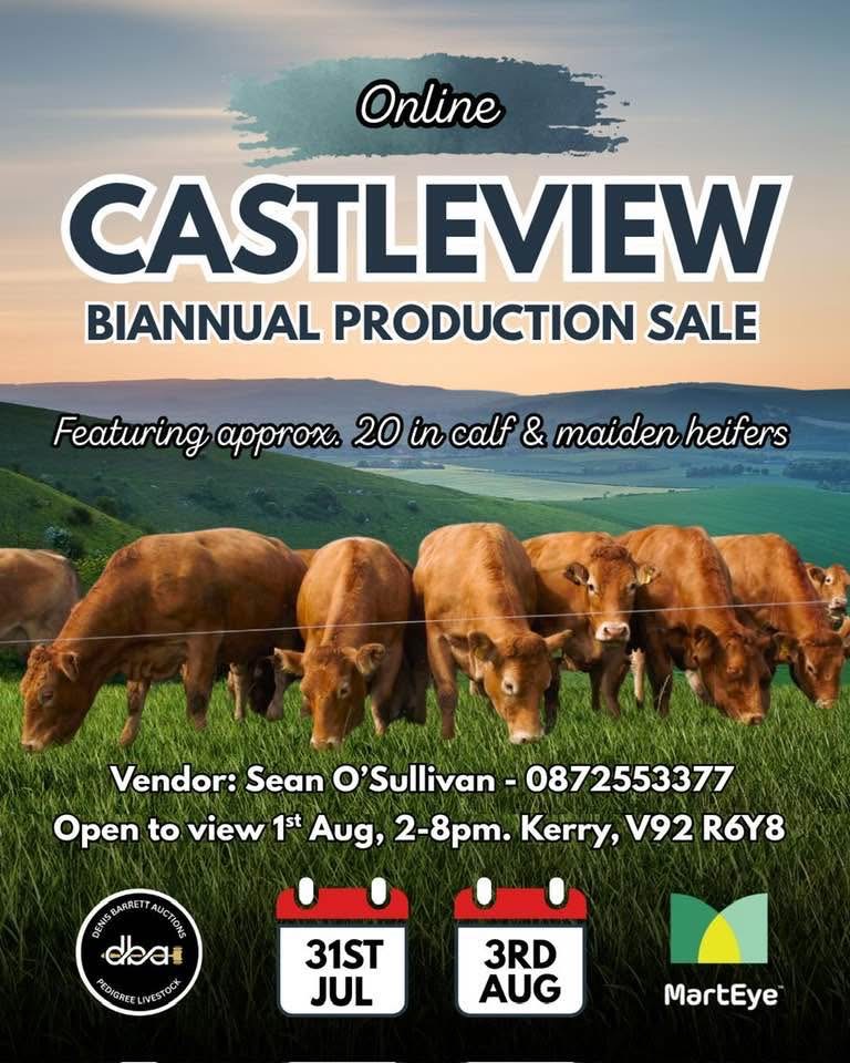 Castleview Limousin