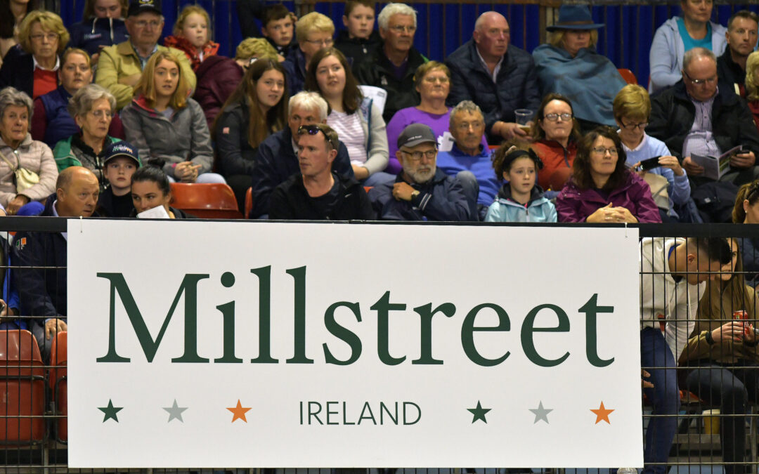 Millstreet International Horse Show – Foal Sale Success